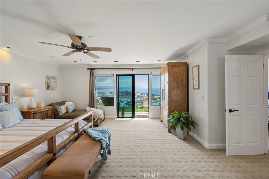 34403 Green Lantern Street - Photo 14