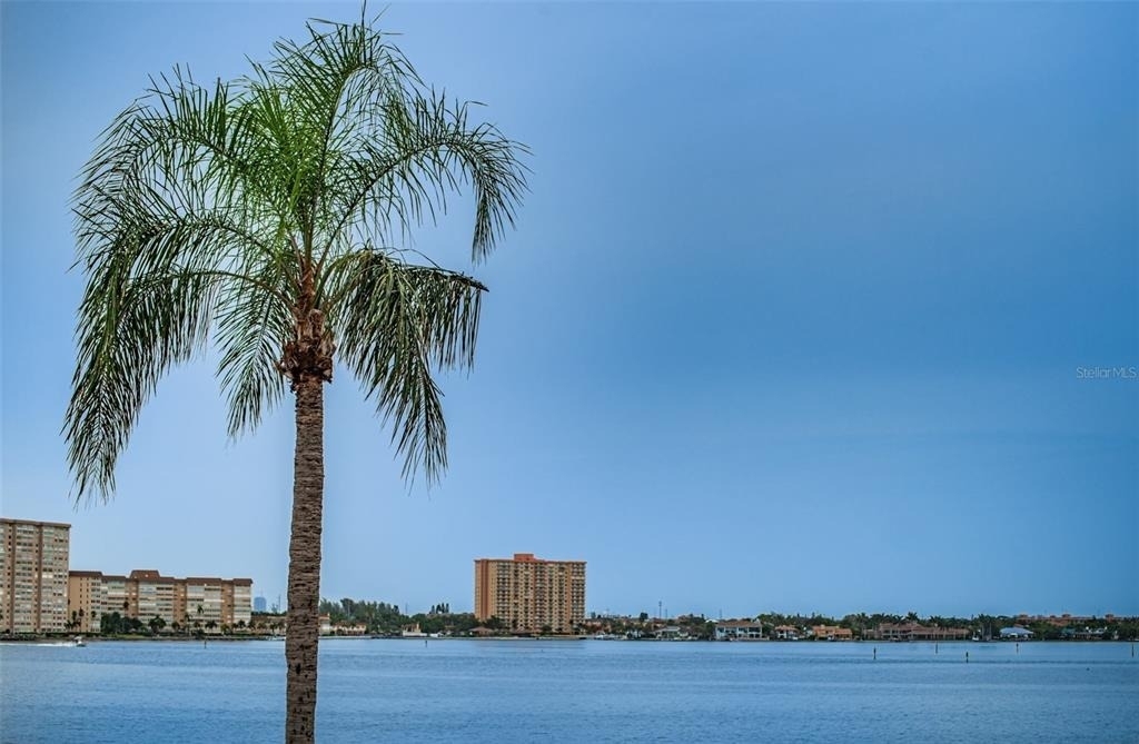 6322 Palma Del Mar Boulevard S - Photo 22