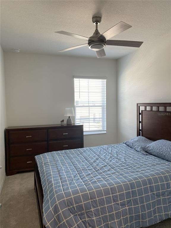 8443 Canyon Creek Trail - Photo 21