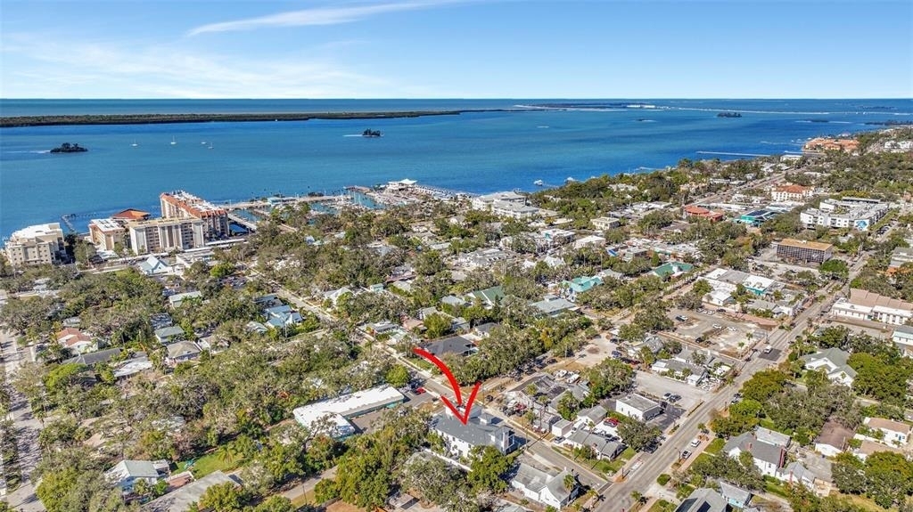 341 Albert Street - Photo 2