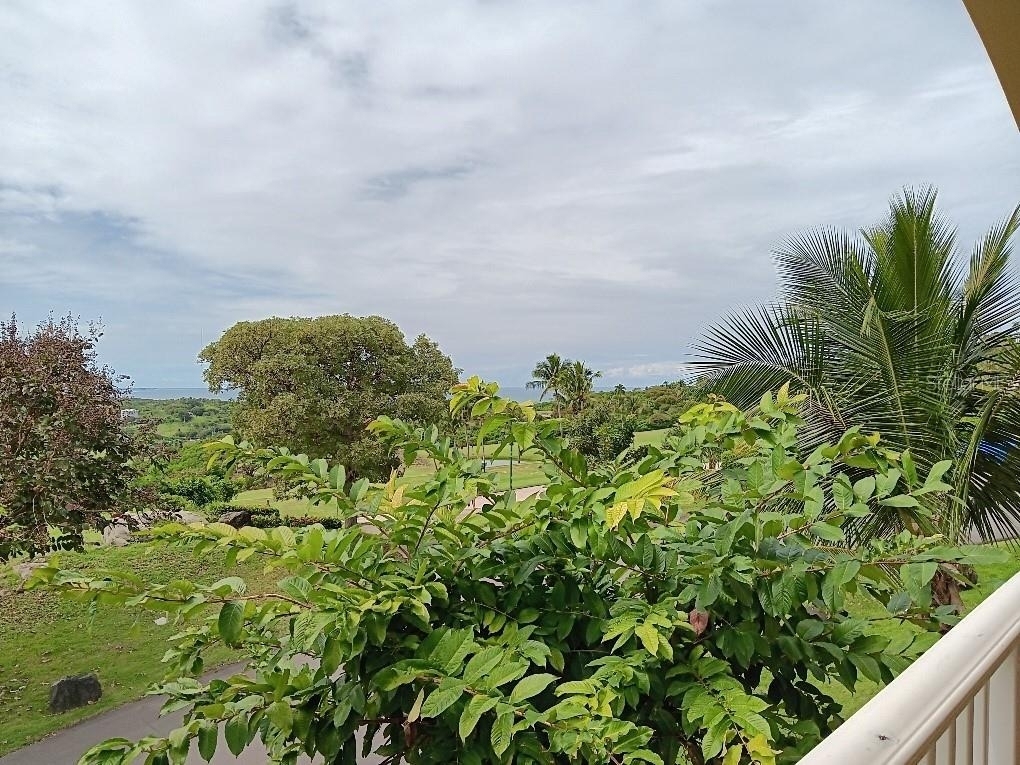 Las Casitas Village 1 Ave Conquistador - Photo 11