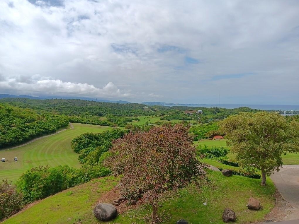 Las Casitas Village 1 Ave Conquistador - Photo 21