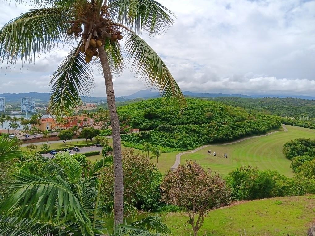 Las Casitas Village 1 Ave Conquistador - Photo 22