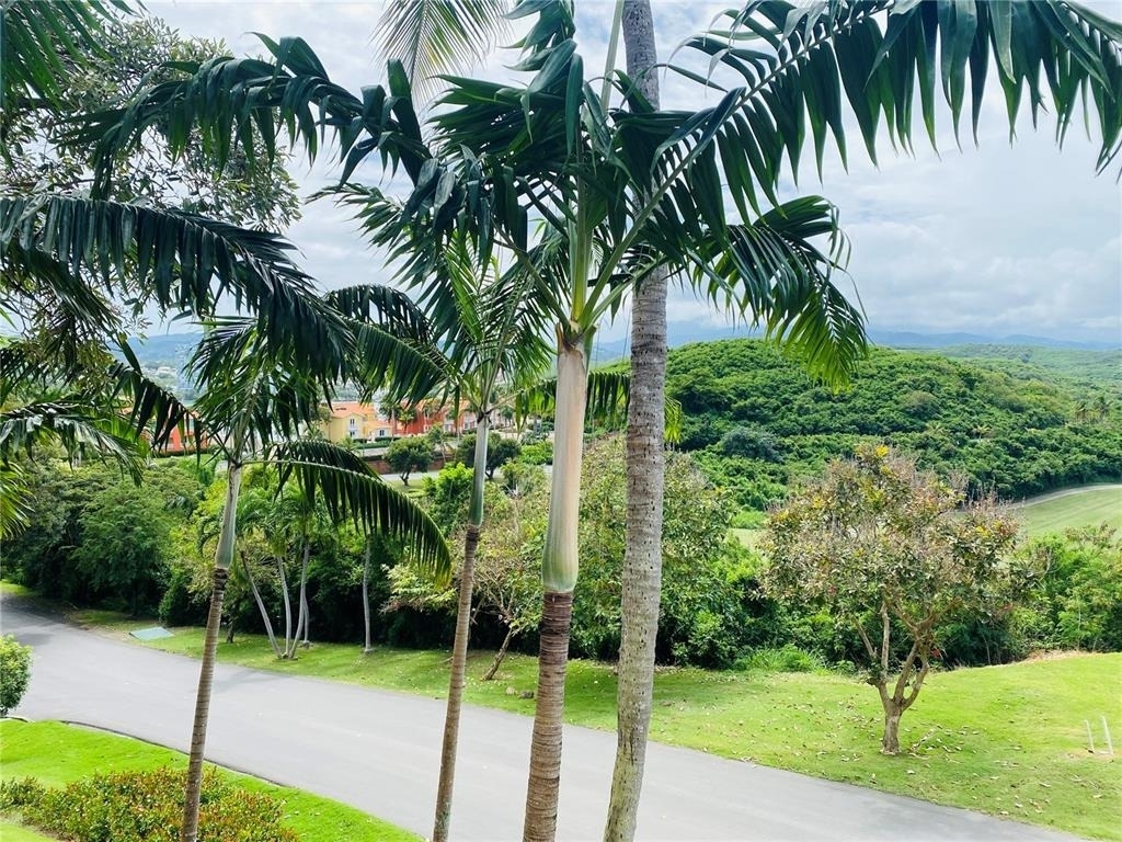 Las Casitas Village 1 1 Ave Conquistador - Photo 45