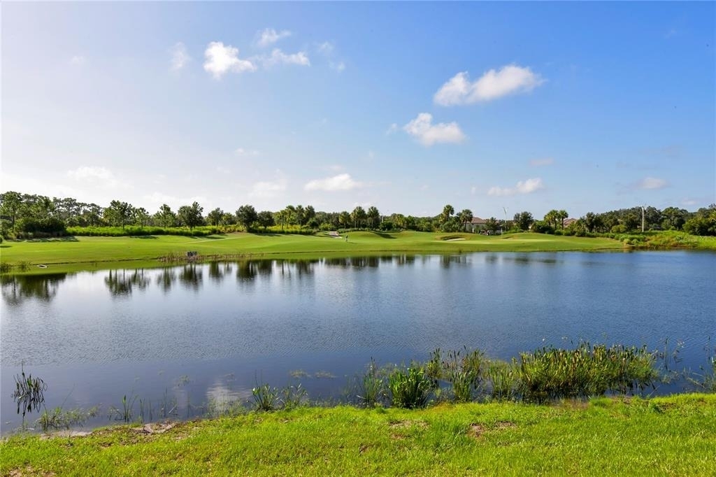 13732 Messina Loop - Photo 42