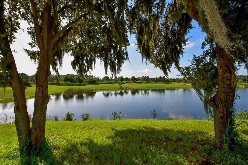13732 Messina Loop - Photo 40