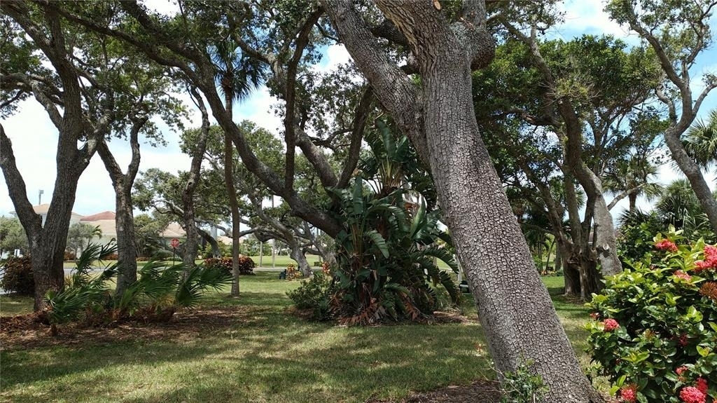 2400 S Ocean Drive - Photo 48