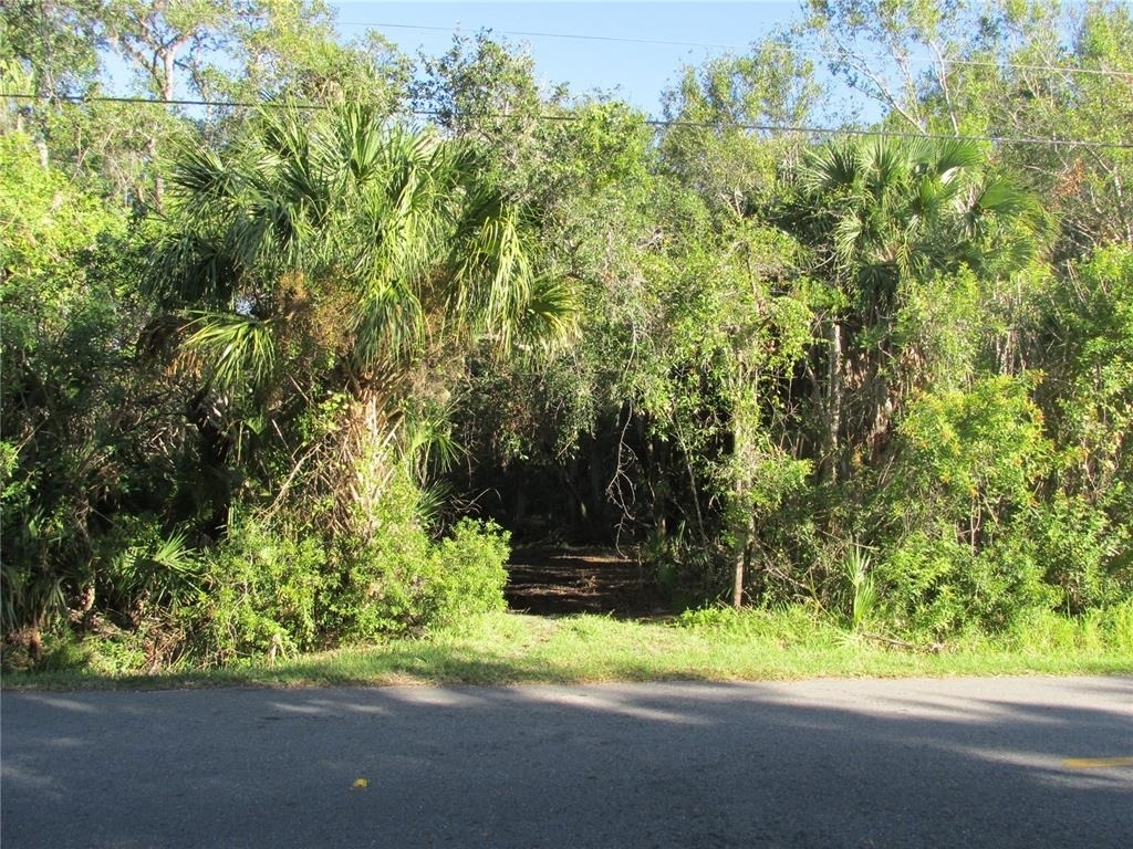 1767 Belvidere Road - Photo 14