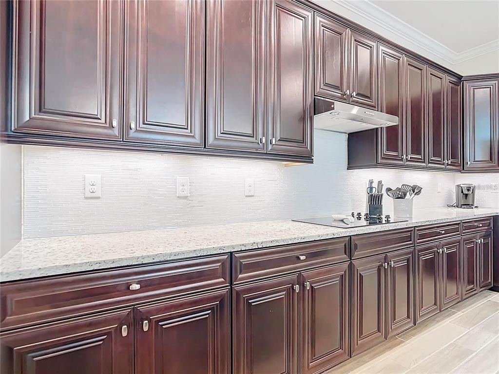 25025 Spartina Drive - Photo 9