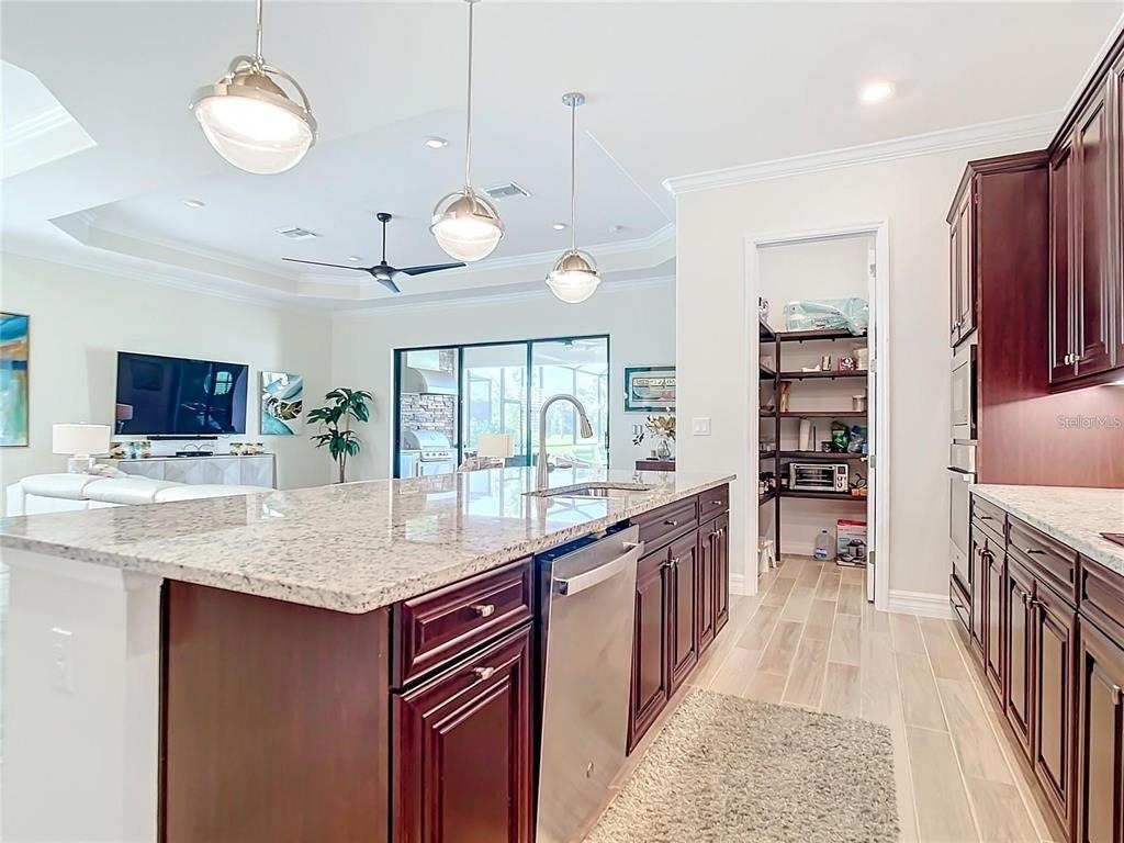 25025 Spartina Drive - Photo 8