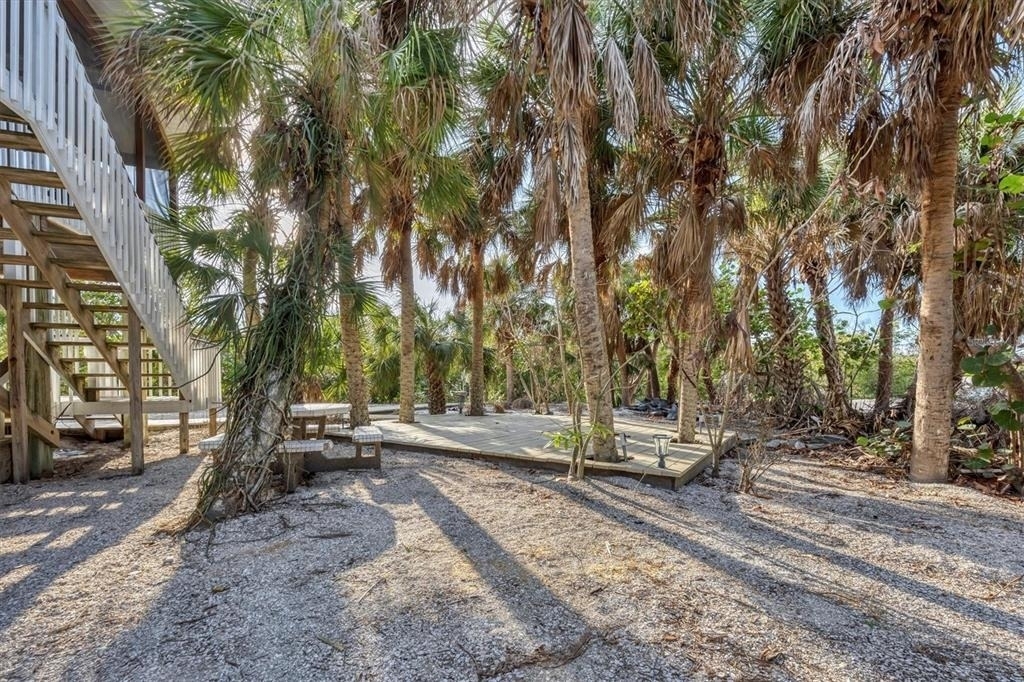 51 Palm Drive - Photo 5