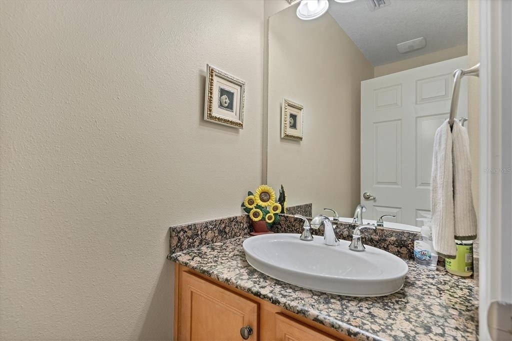10640 Lemon Creek Loop - Photo 33