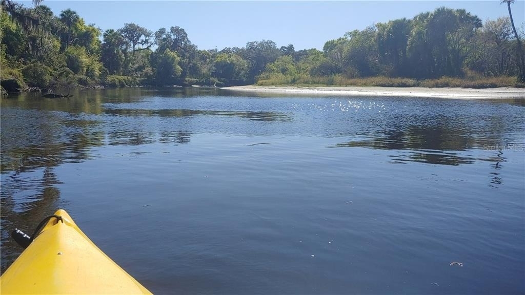 309 Shore T Road - Photo 36