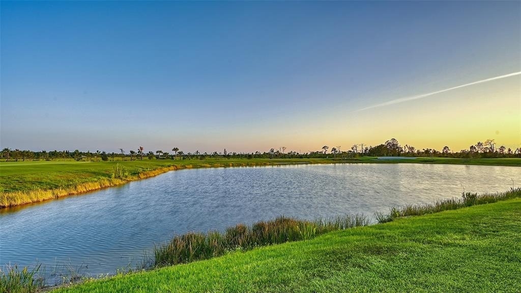 12453 Wellen Golf Street - Photo 50