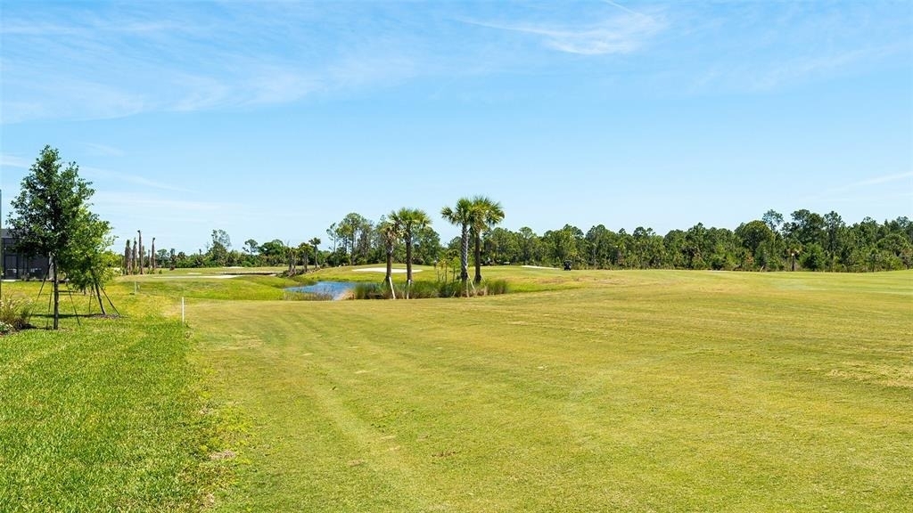 12453 Wellen Golf Street - Photo 60