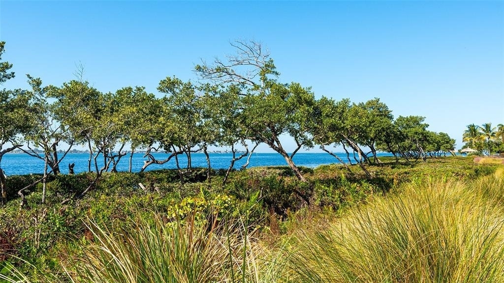 280 Saint Lucia Drive - Photo 38
