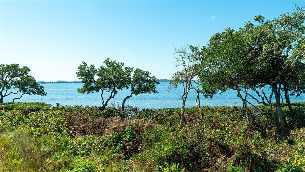 280 Saint Lucia Drive - Photo 39