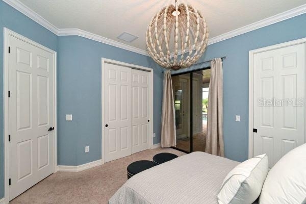 5507 Arnie Loop - Photo 21