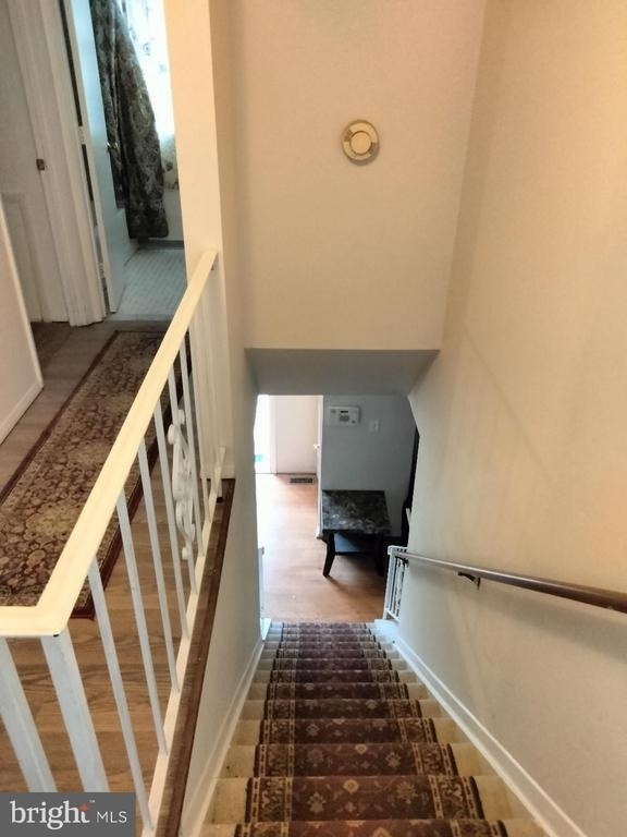 13207 Cape Shell Court - Photo 34