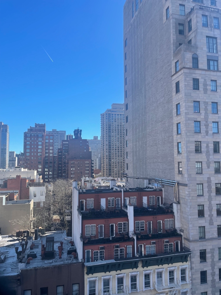 240 E 82nd Street - Photo 8