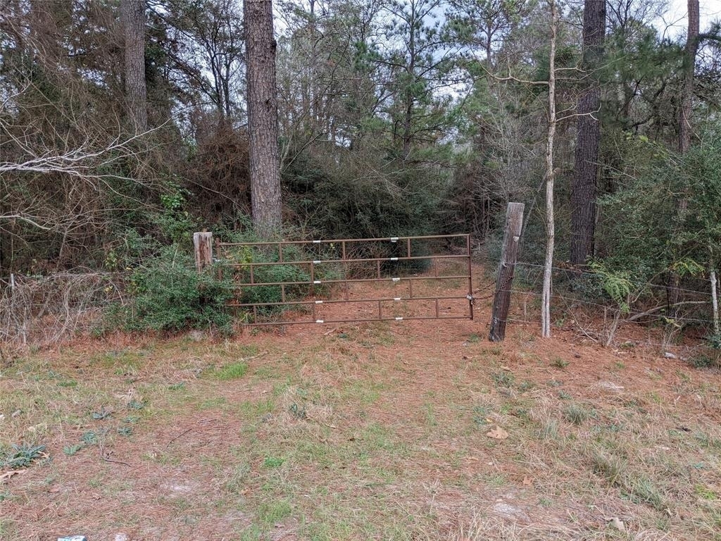 2404 Tx-75 Road - Photo 6
