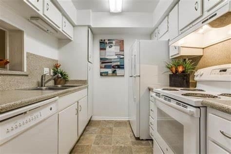 4655 Wild Indigo Street - Photo 7