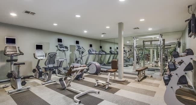 4655 Wild Indigo Street - Photo 3