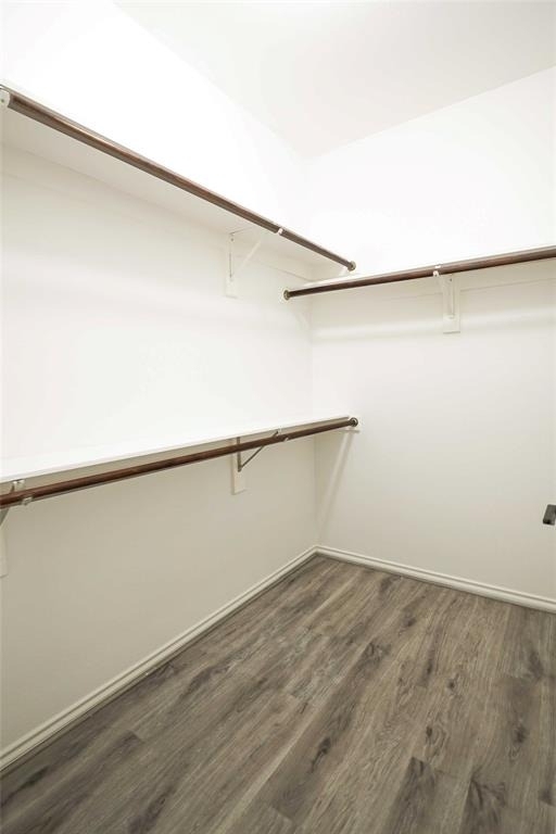 2137 Goliad Circle - Photo 16