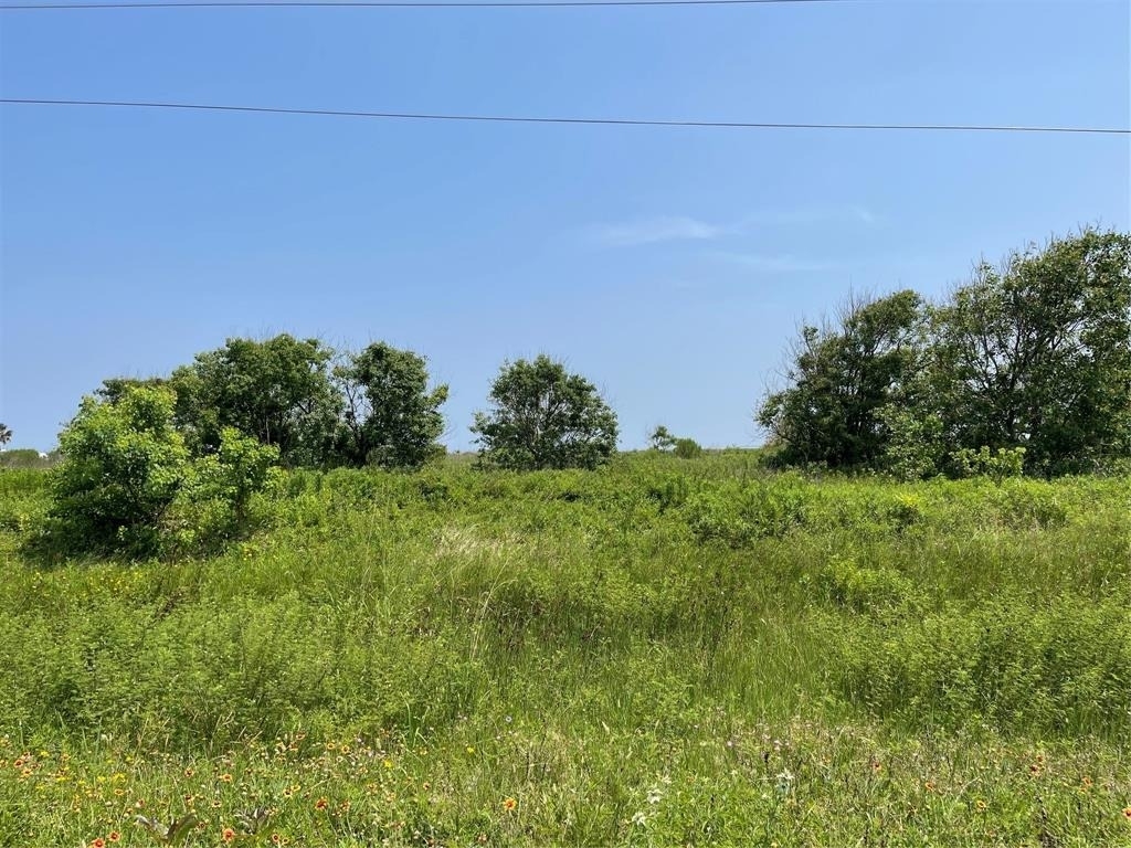 672 Highway 87 - Photo 1