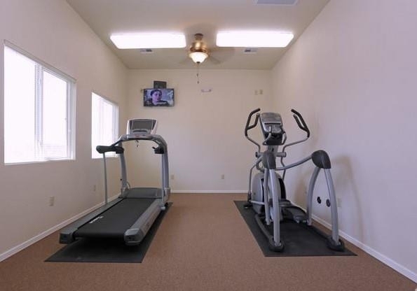1510 \ Fabens Road - Photo 11