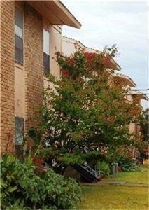 500 E 7th Street - Photo 2
