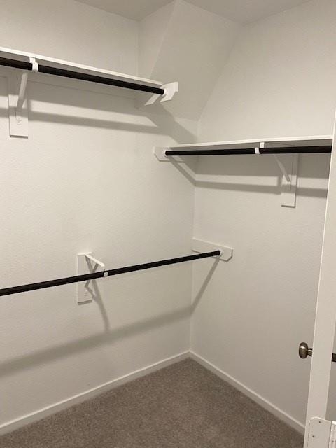 11903 Bat Sheva Lane - Photo 14