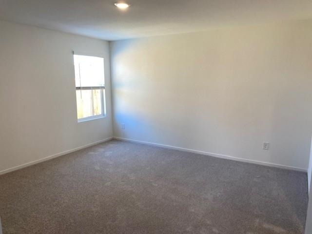 11903 Bat Sheva Lane - Photo 11