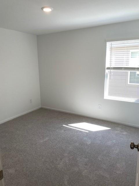 11903 Bat Sheva Lane - Photo 15