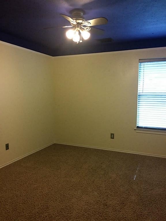 2527 Liza Court - Photo 14