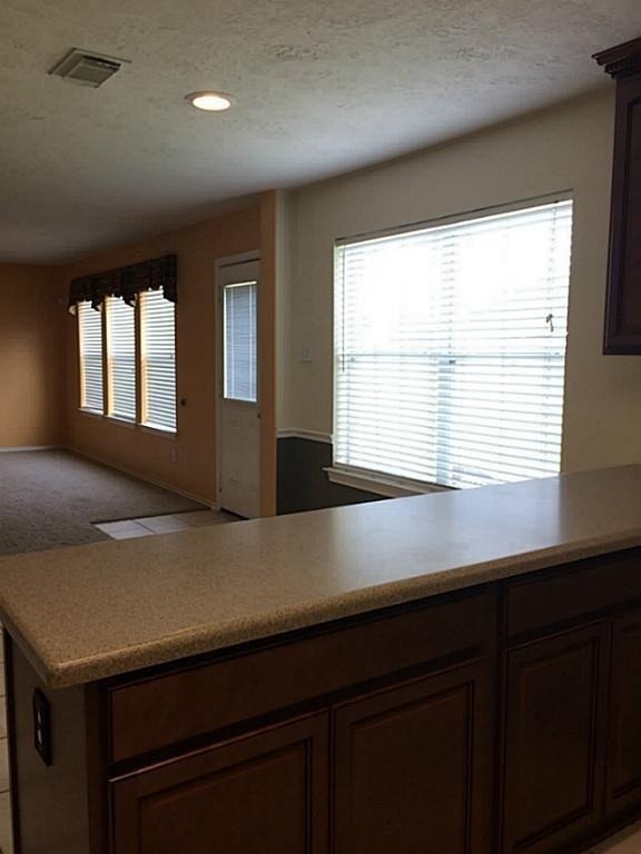2527 Liza Court - Photo 11
