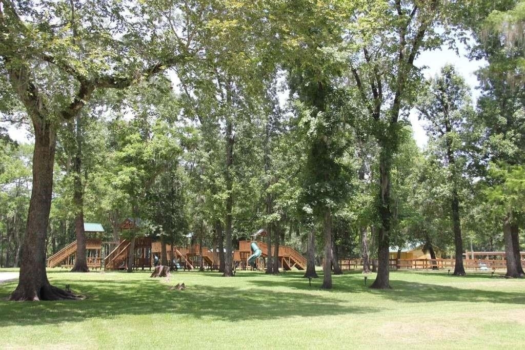 235 Pine Ridge Drive - Photo 8