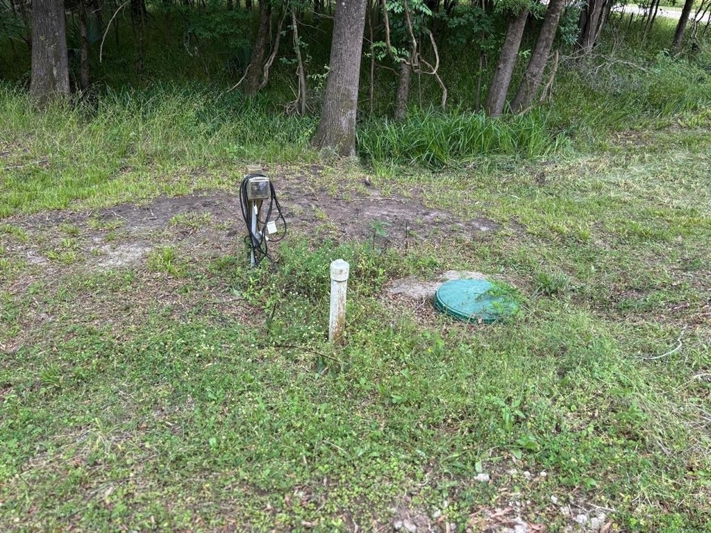 503 Sour Lake Circle - Photo 3