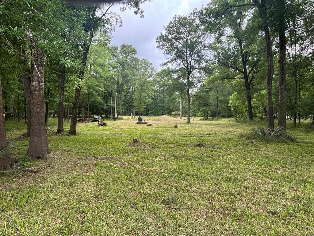 503 Sour Lake Circle - Photo 6
