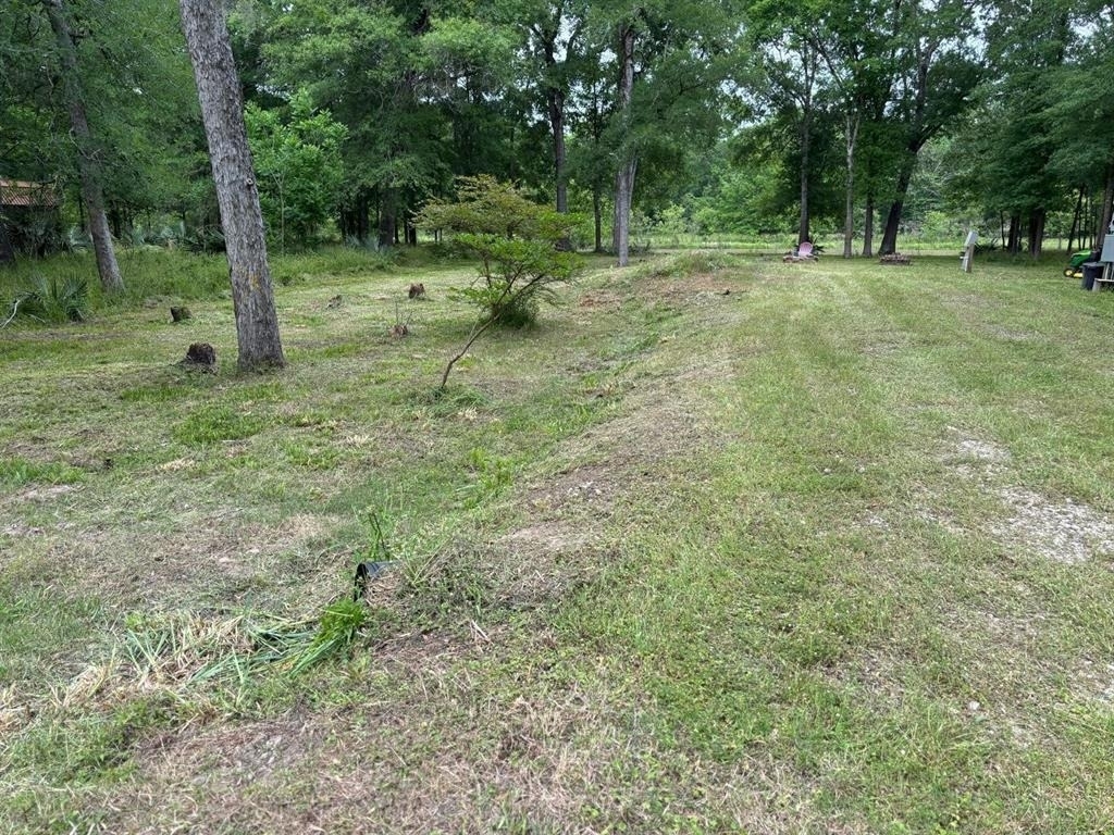 503 Sour Lake Circle - Photo 4