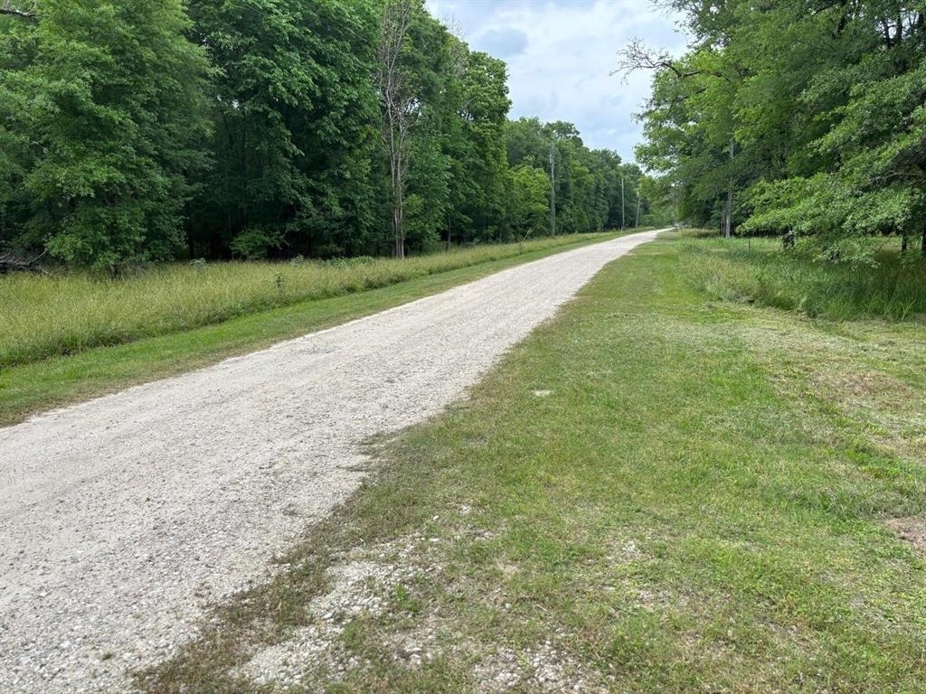 503 Sour Lake Circle - Photo 1