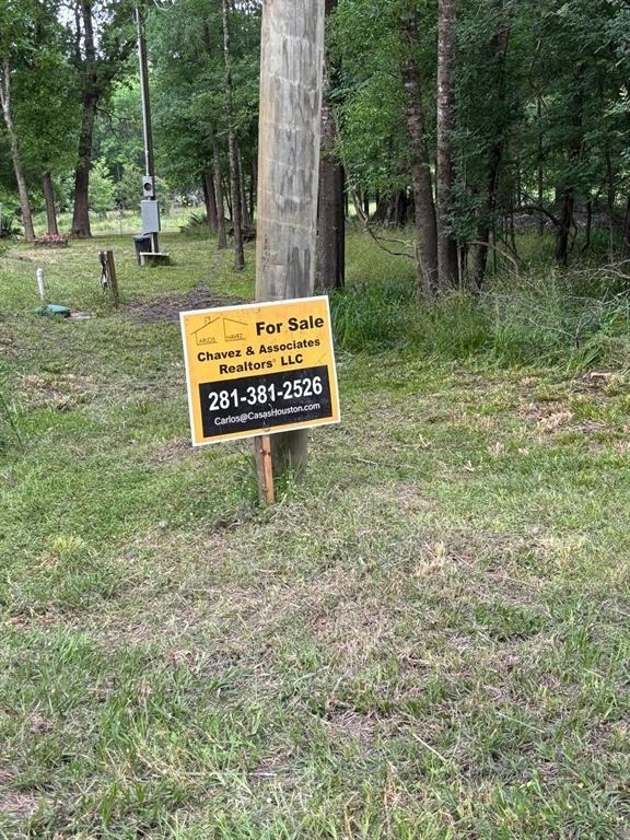 503 Sour Lake Circle - Photo 2