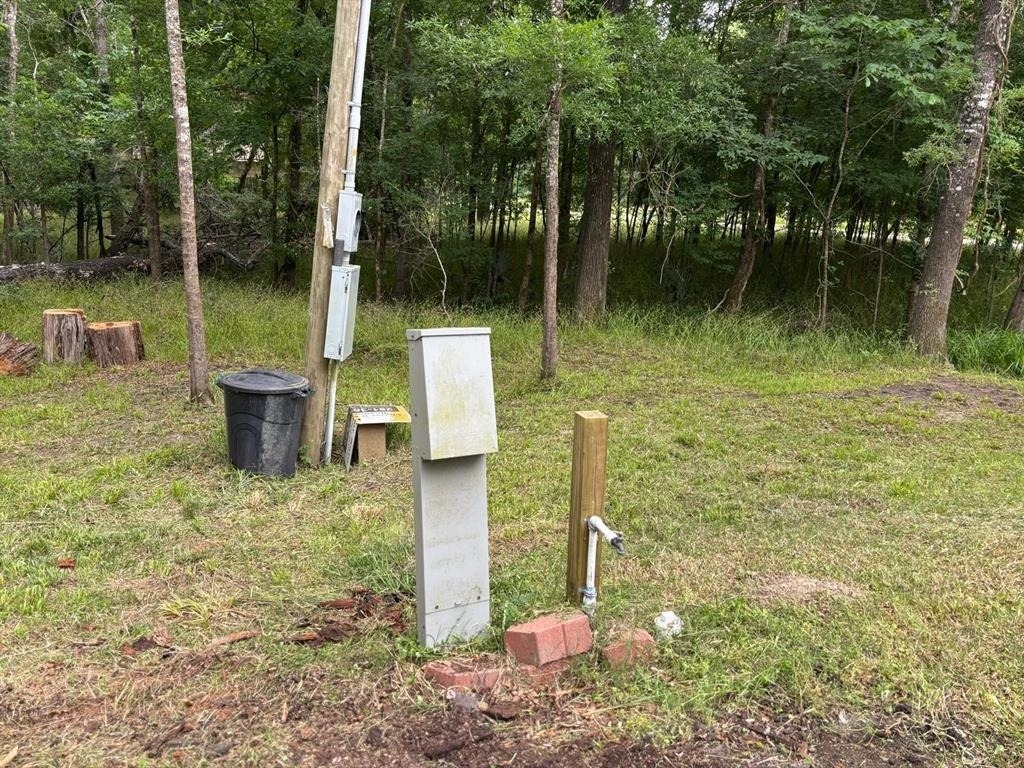 503 Sour Lake Circle - Photo 9