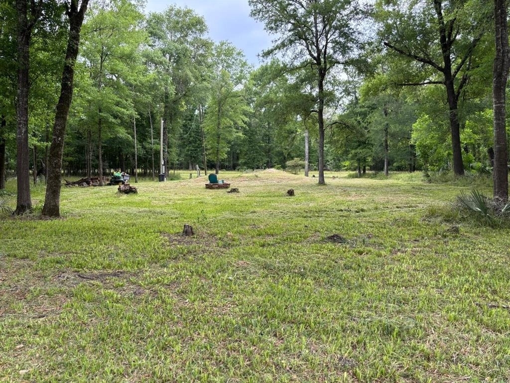 503 Sour Lake Circle - Photo 5