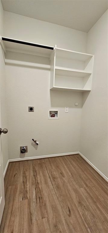 21258 Catalina Palm Drive - Photo 12