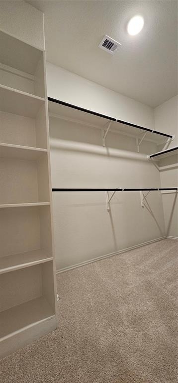 21258 Catalina Palm Drive - Photo 15