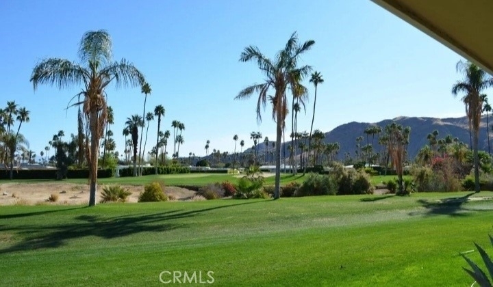 2220 S Calle Palo Fierro - Photo 22