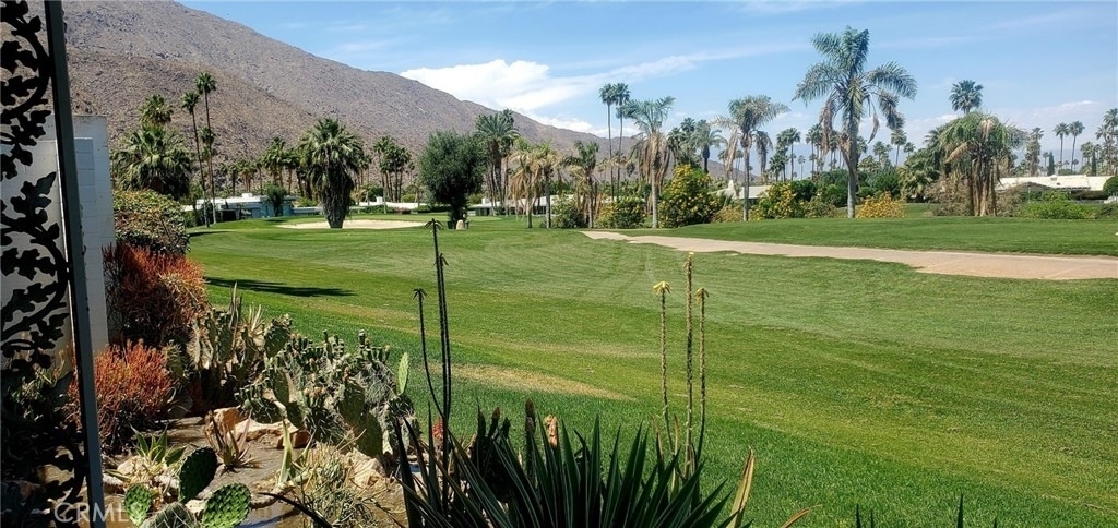 2220 S Calle Palo Fierro - Photo 18