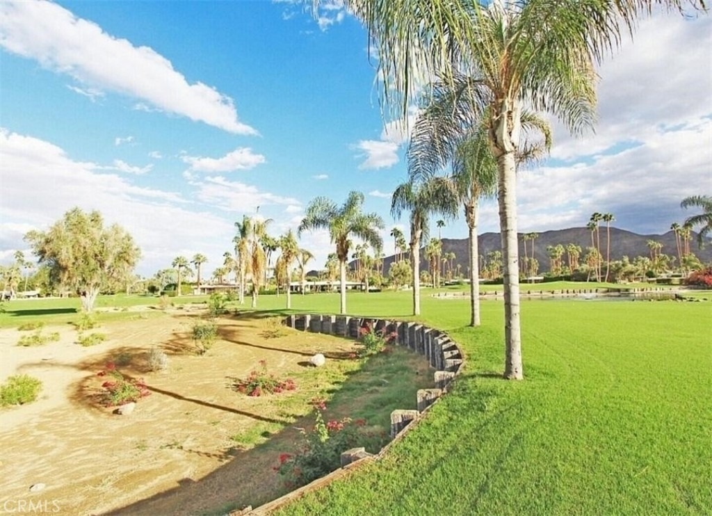 2220 S Calle Palo Fierro - Photo 7