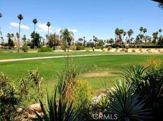 2220 S Calle Palo Fierro - Photo 3